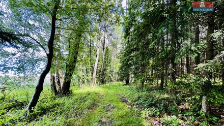 Prodej lesa 1 312 m², Libchavy