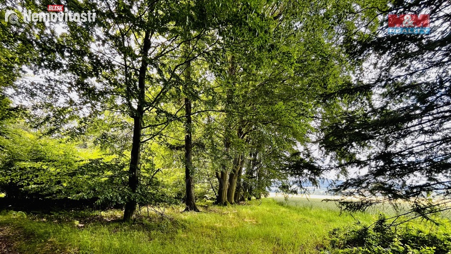 Prodej lesa 1 312 m², Libchavy