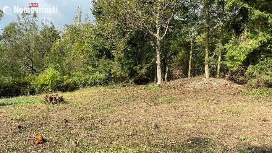 Prodej stavebního pozemku 680 m², Nová Ves pod Pleší