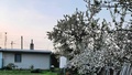 Prodej chaty 33 m², Plzeň - Skvrňany