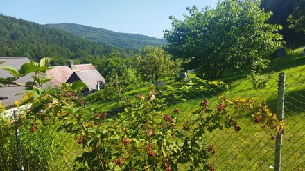 Prodej chalupy 150 m², Jiřetín pod Jedlovou