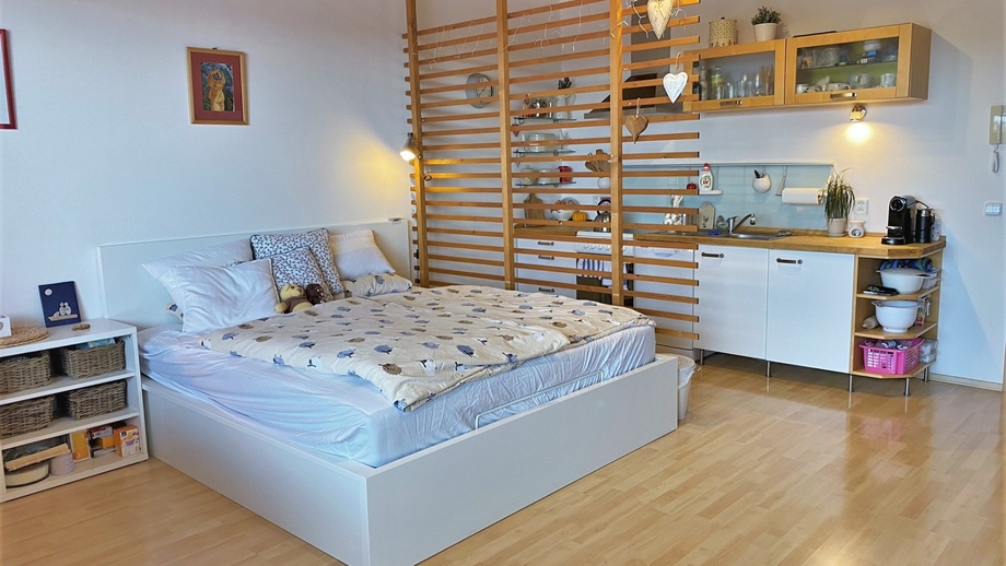 Pronájem bytu 1+kk 39 m², Brno - Soběšice