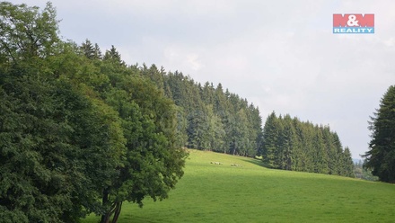 Prodej louky 46 428 m², Kočov