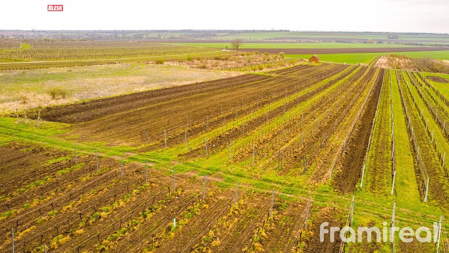 Prodej stavebního pozemku 2 723 m², Moravský Žižkov