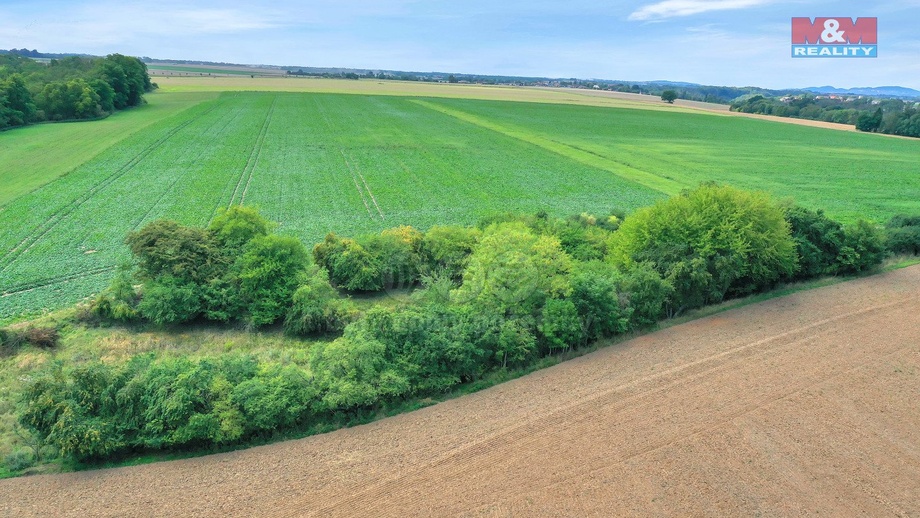 Prodej lesa 1 302 m², Velké Všelisy