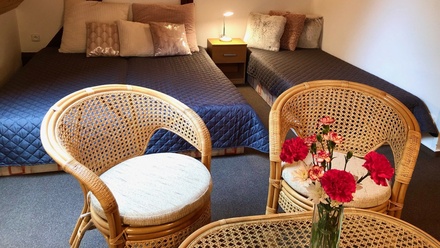 Prodej nemovitosti pro ubytování 247 m², Česká Skalice