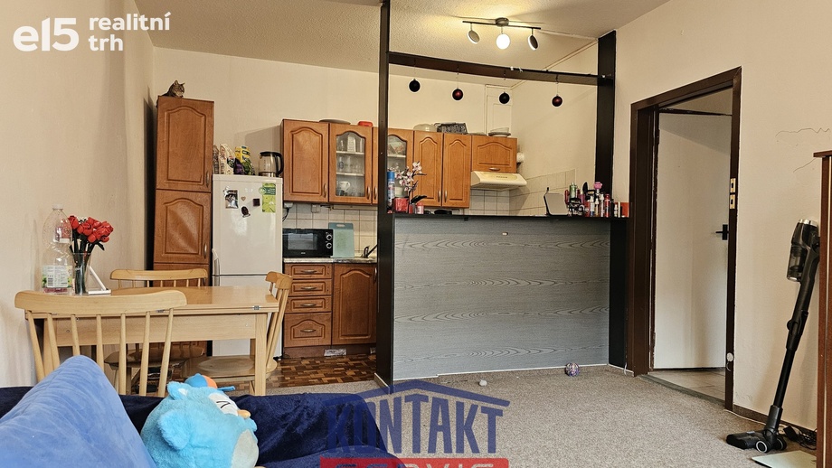 Prodej bytu 2+kk 39 m², České Budějovice 2
