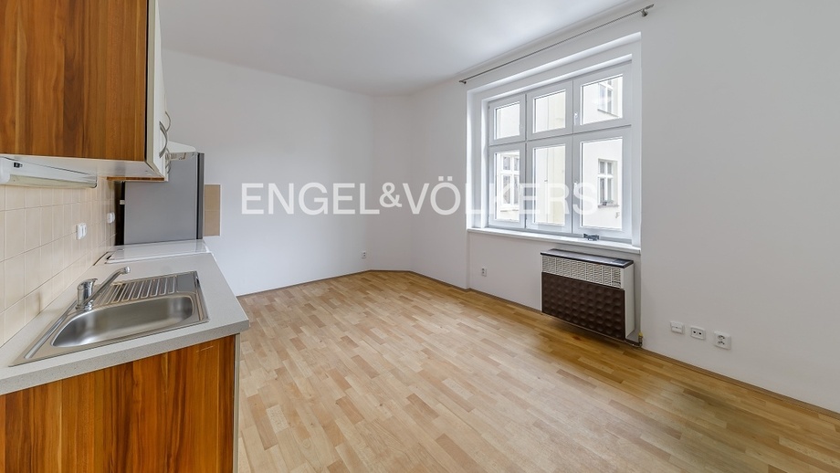Pronájem bytu 1+1 60 m², Praha - Žižkov