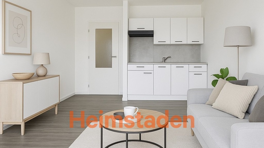 Pronájem bytu 1+kk 27 m², Frýdek-Místek