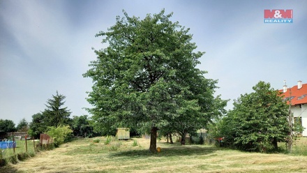 Prodej stavebního pozemku 1 251 m², Všechlapy