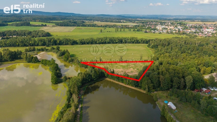 Prodej louky 13 846 m², Františkovy Lázně