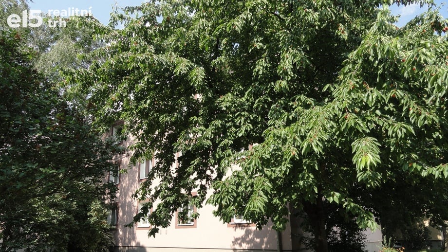 Pronájem bytu 1+1 32 m², Kladno - Kročehlavy