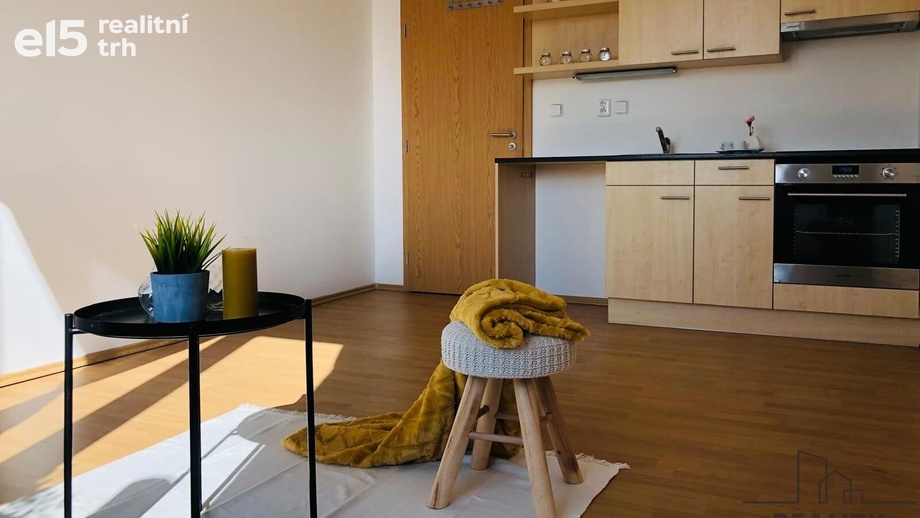 Pronájem bytu 1+kk 27 m², Brno-Židenice