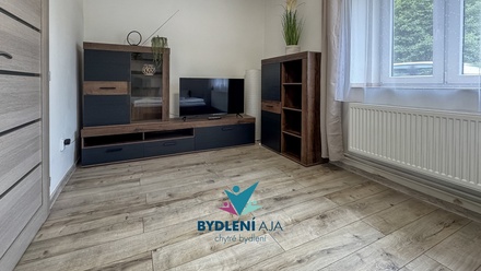Prodej bytu 1+1 43 m², Tisá