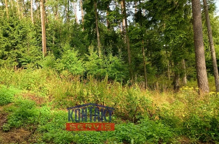 Prodej lesa 2 562 m², Bušanovice