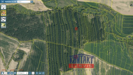 Prodej lesa 10 125 m², Třebějice