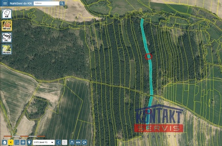 Prodej lesa 10 125 m², Třebějice