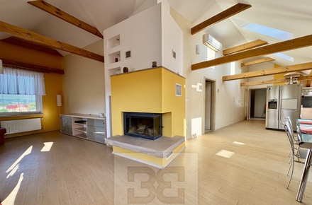 Pronájem bytu 4+kk 195 m², Velké Opatovice