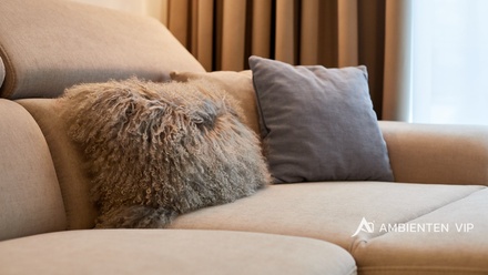 Pronájem bytu 2+kk 54 m², Brno - Staré Brno