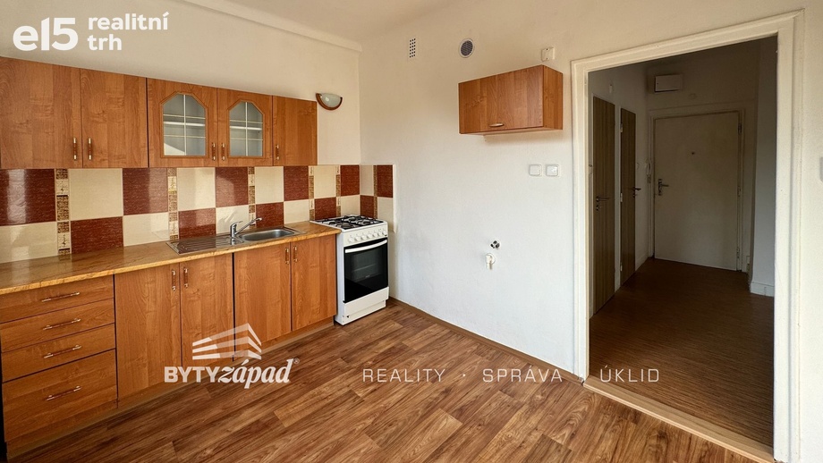 Pronájem bytu 1+1 40 m², Plzeň - Východní Předměstí