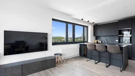 Prodej bytu 2+kk 68 m², Brno