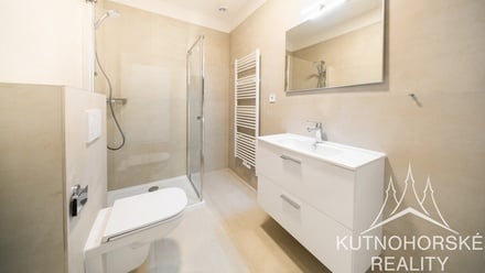 Pronájem bytu 2+kk 55 m², Vrdy