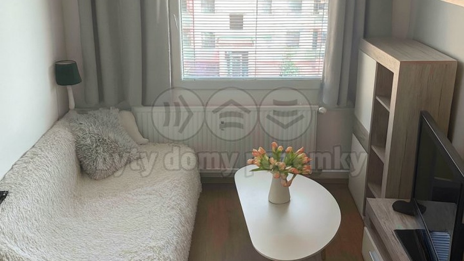 Pronájem bytu 1+kk 30 m², Plzeň 1