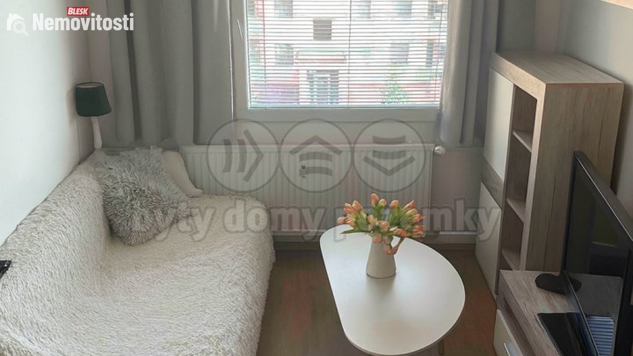 Pronájem bytu 1+kk 30 m², Plzeň 1