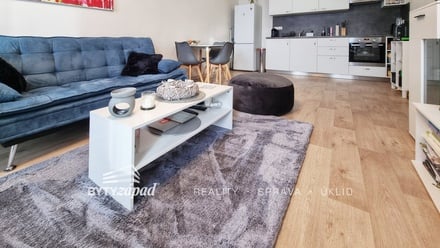 Pronájem bytu 2+kk 48 m², Plzeň - Severní Předměstí