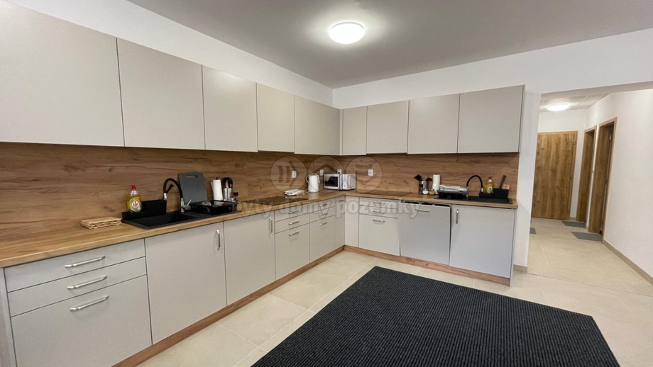 Pronájem bytu 1+kk 30 m², Ostrava - Vítkovice