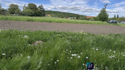 Prodej stavebního pozemku 804 m², Vlkava