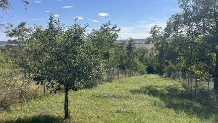 Prodej chaty 26 m², Brno-Bosonohy