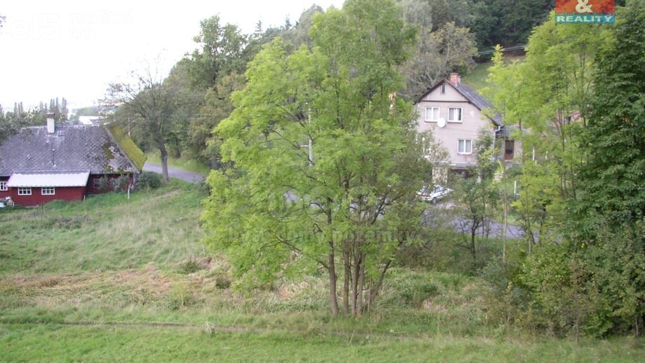 Prodej louky 2 494 m², Janův Důl