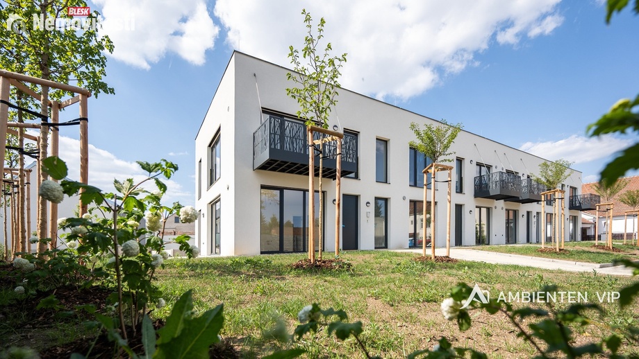 Developerský projekt, Brno - Černovice