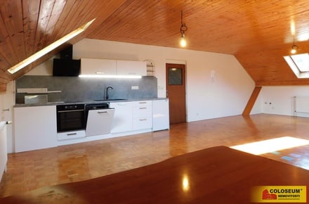 Pronájem bytu 3+kk 130 m², Dobšice