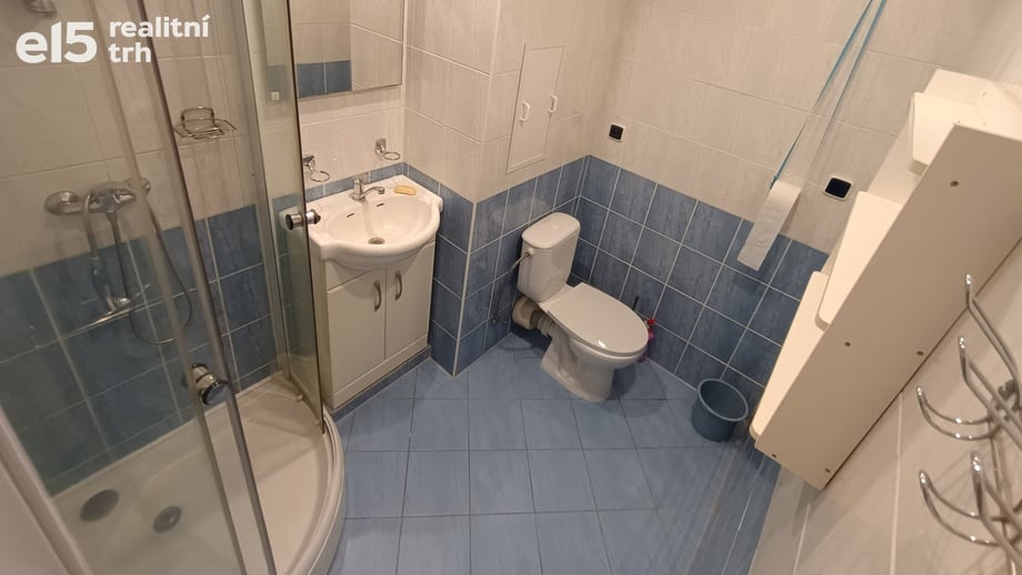 Pronájem bytu 1+1 40 m², Plzeň