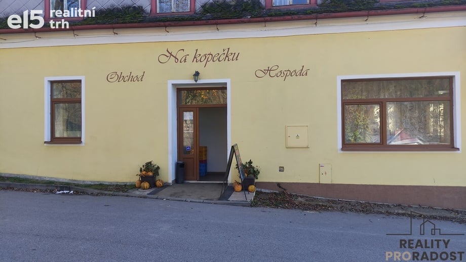 Prodej restaurace 500 m², Podhradí nad Dyjí