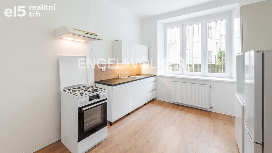 Pronájem bytu 1+1 52 m², Praha - Podolí
