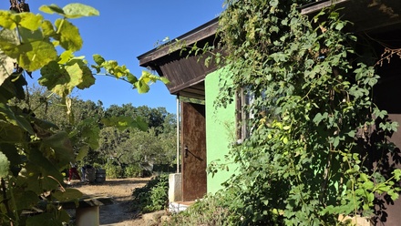 Prodej zahrady 393 m², Veselí nad Moravou