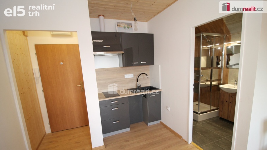 Pronájem bytu 1+kk 25 m², Mariánské Lázně