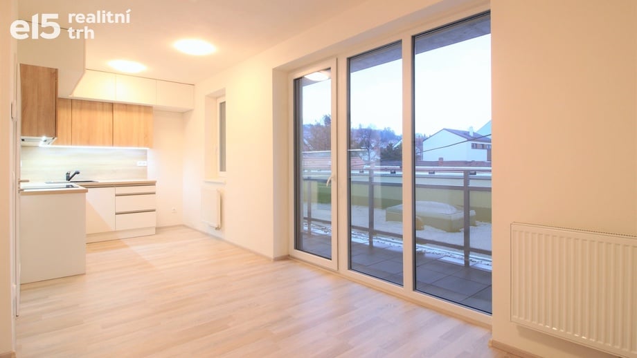 Pronájem bytu 1+kk 41 m², Brno
