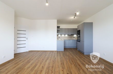 Pronájem bytu 2+kk 50 m², Kosmonosy