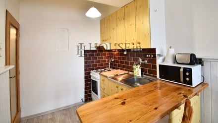 Pronájem bytu 1+1 49 m², Praha - Žižkov