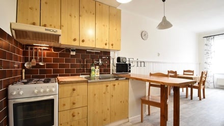 Pronájem bytu 1+1 49 m², Praha - Žižkov