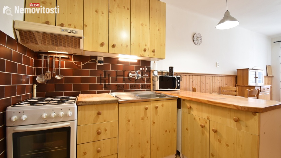 Pronájem bytu 1+1 49 m², Praha - Žižkov