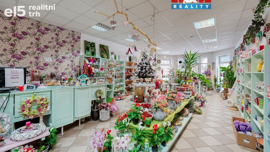 Pronájem obchodního prostoru 133 m², Třemošná