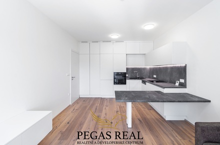 Pronájem bytu 2+kk 52 m², Brno - Staré Brno