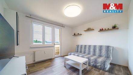 Prodej bytu 3+1 58 m², Nová Role