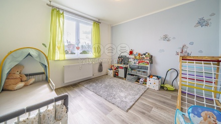 Prodej bytu 3+1 58 m², Nová Role