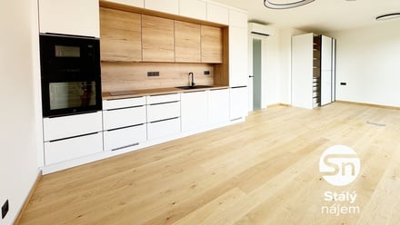 Pronájem bytu 1+kk 45 m², Praha - Břevnov
